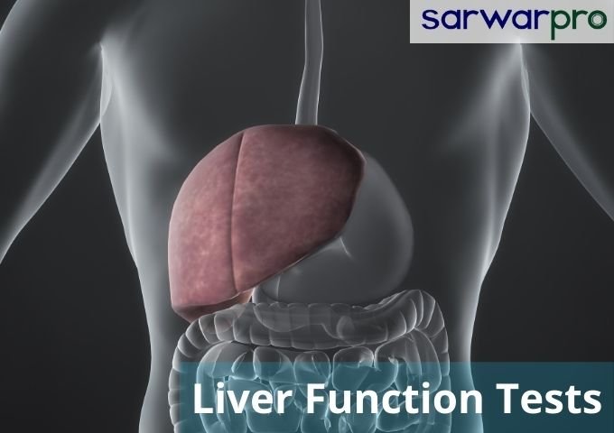 33039liver-function-tests.jpg