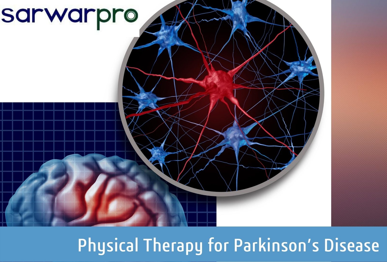 44938physical-therapy-for-parkinson.jpg